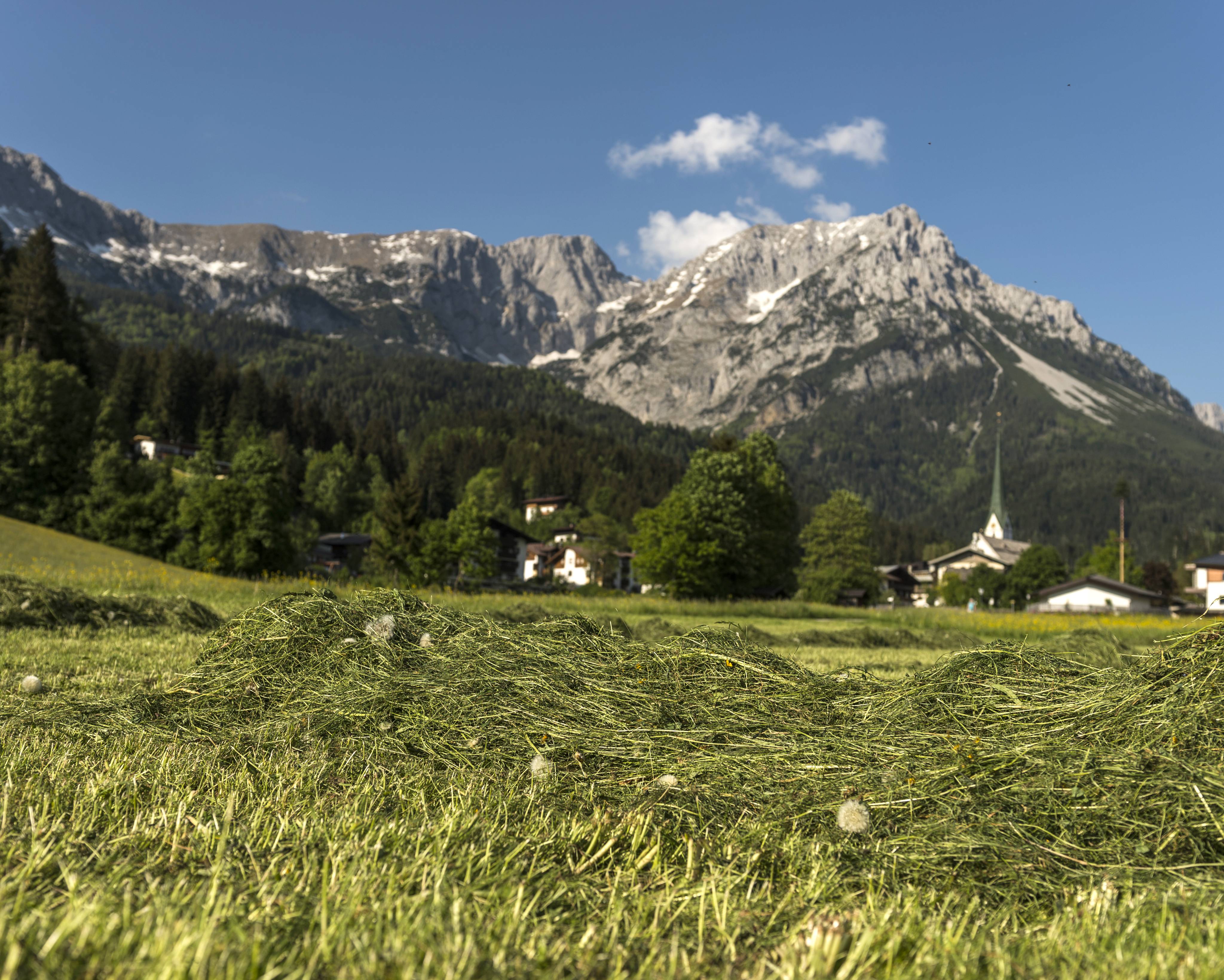 Ortsansicht Alm auf Scheffau und den Wilden Kaiser
