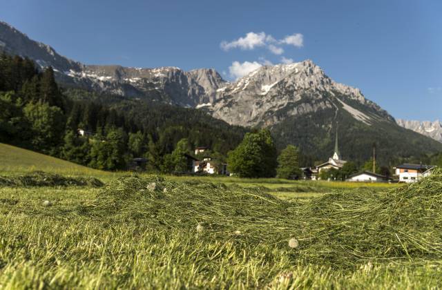 Ortsansicht Alm auf Scheffau und den Wilden Kaiser