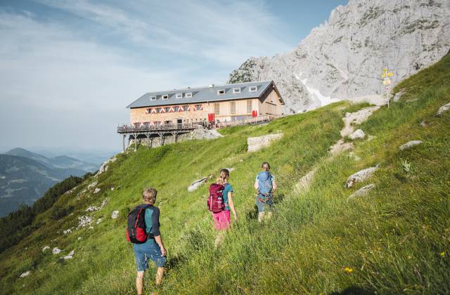 Scheffau to Grutten Hut - Das Alpin