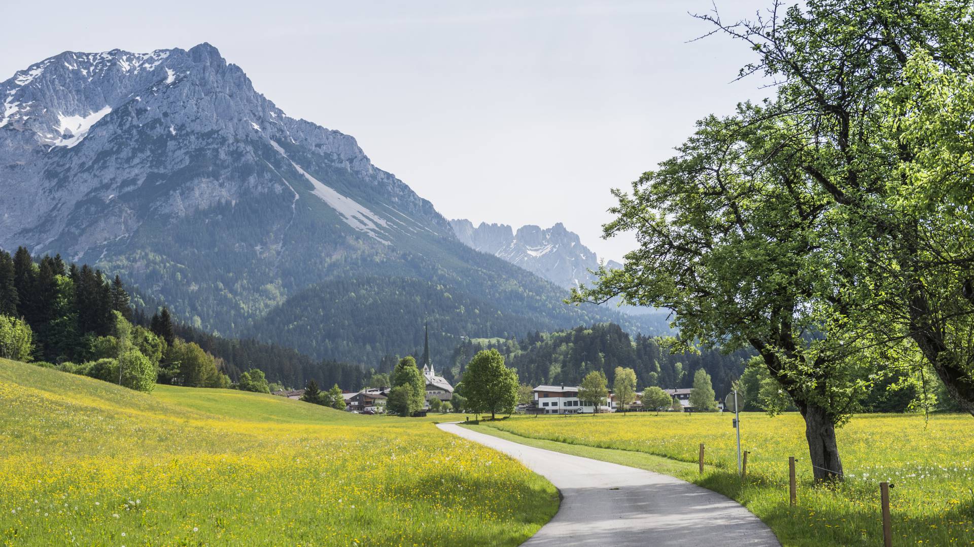 Weg durch Wiese Richtung Stadt Scheffau